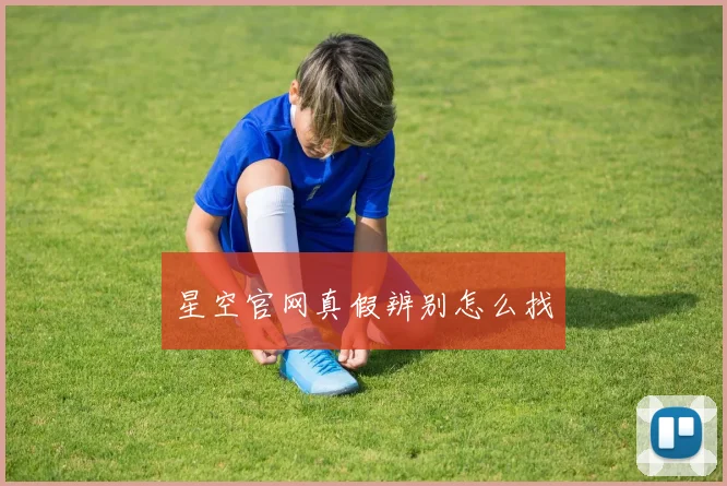 星空官网真假辨别怎么找