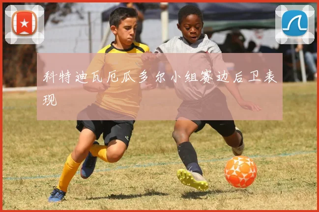 科特迪瓦厄瓜多尔小组赛边后卫表现