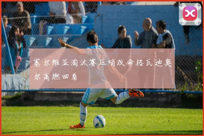 塞尔维亚淘汰赛压哨改命格瓦迪奥尔高燃回看