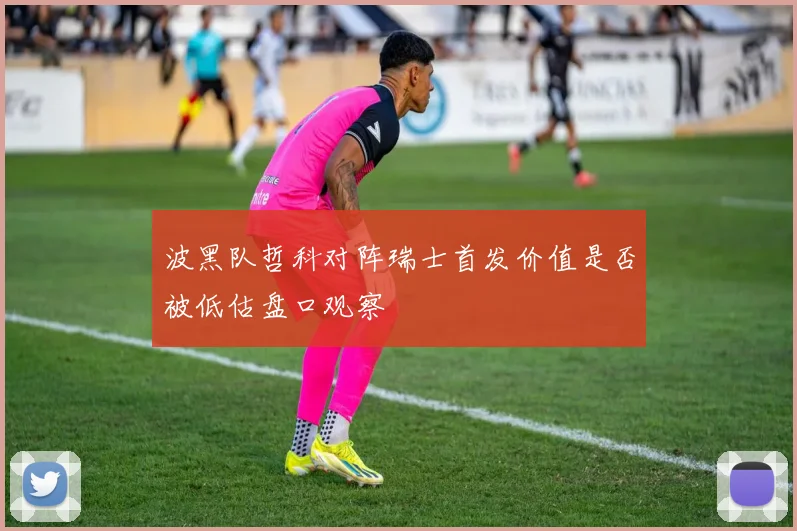 波黑队哲科对阵瑞士首发价值是否被低估盘口观察