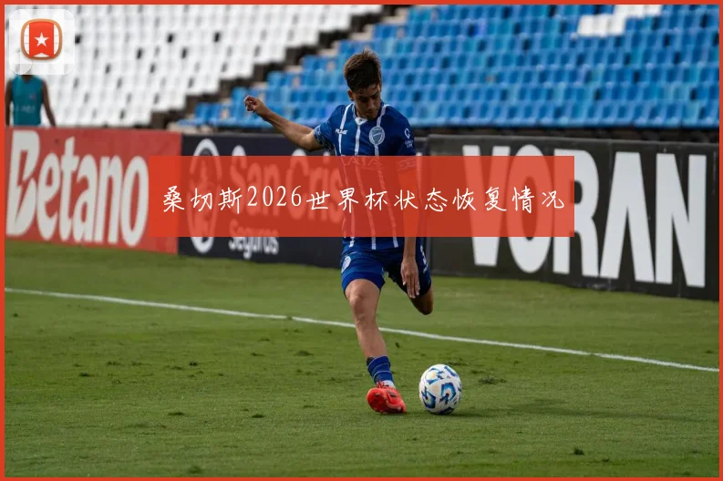 桑切斯2026世界杯状态恢复情况